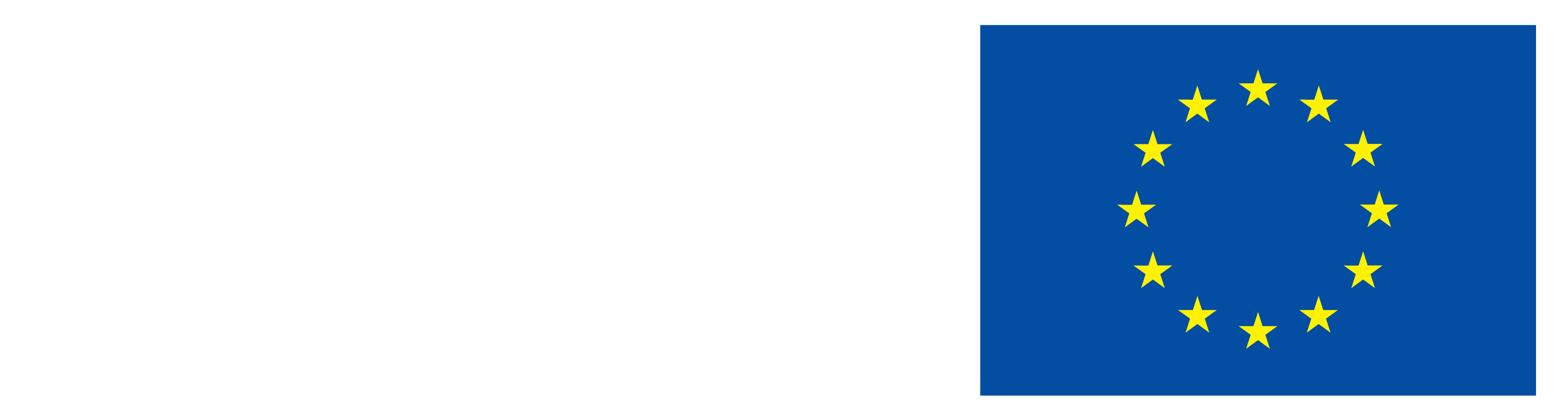 Funded by the EU logo AR
